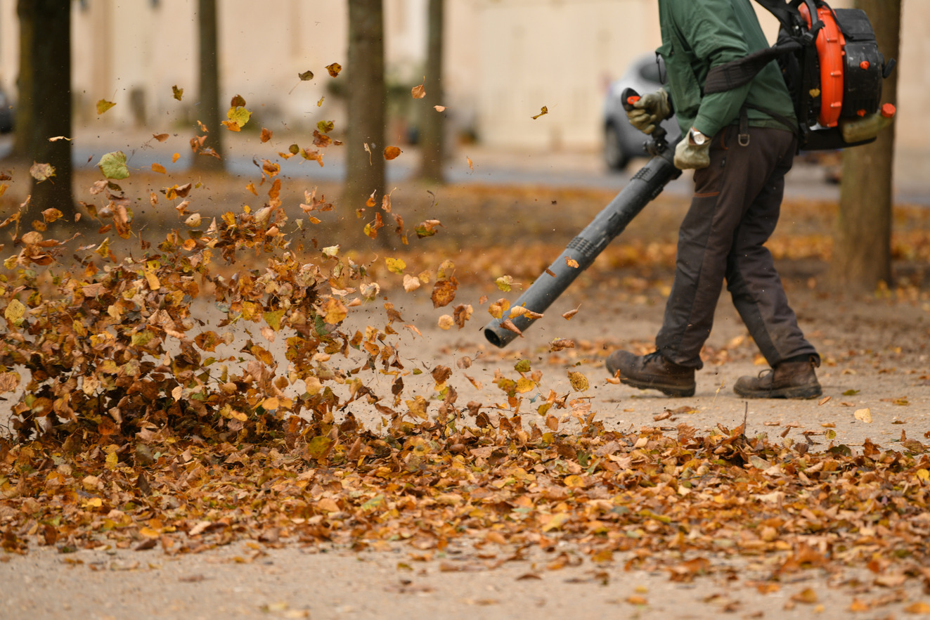 Leaf Removal Services in New Jersey