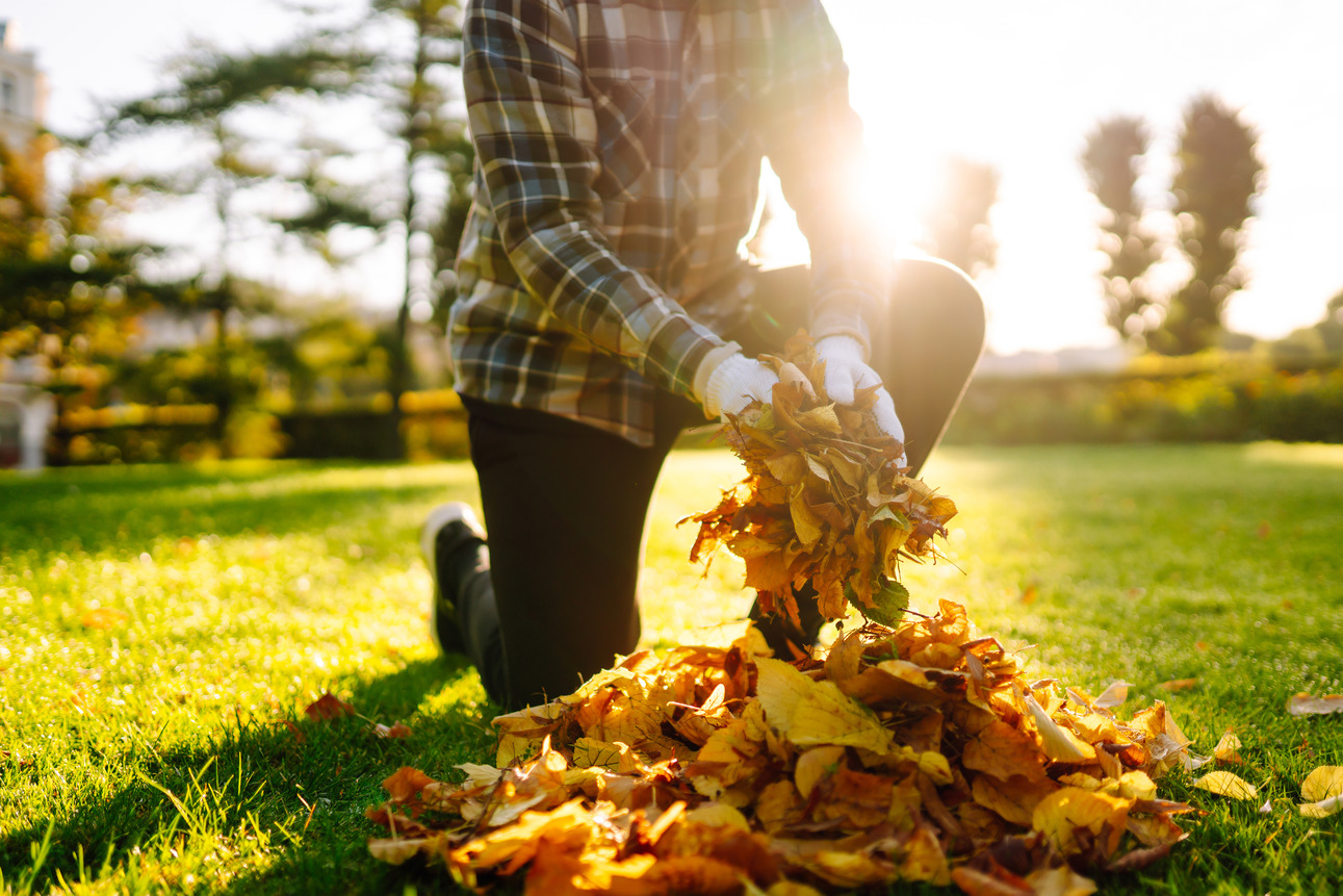 Fall Lawn Care in New Jersey