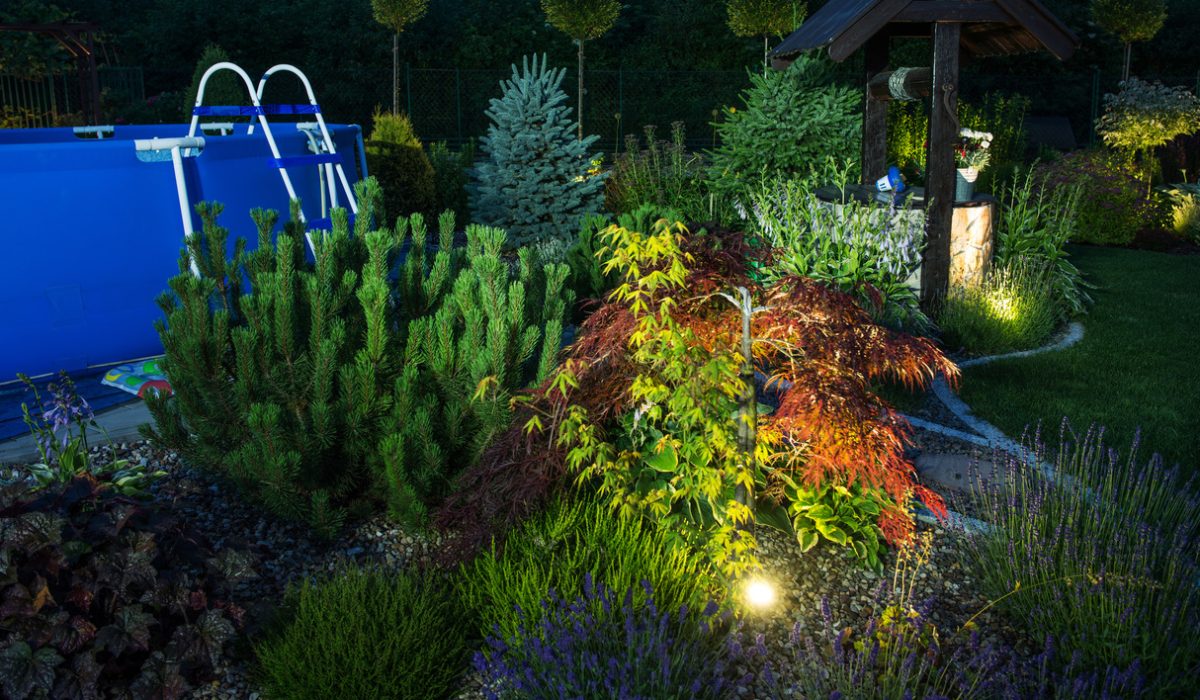 backyard-garden-illumination-outdoor-lighting-2023-11-27-04-53-33-utc (1)