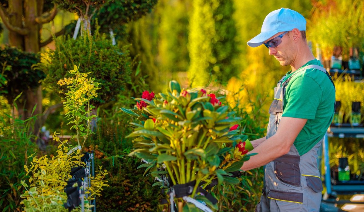 garden-store-maintenance-2023-11-27-05-27-45-utc