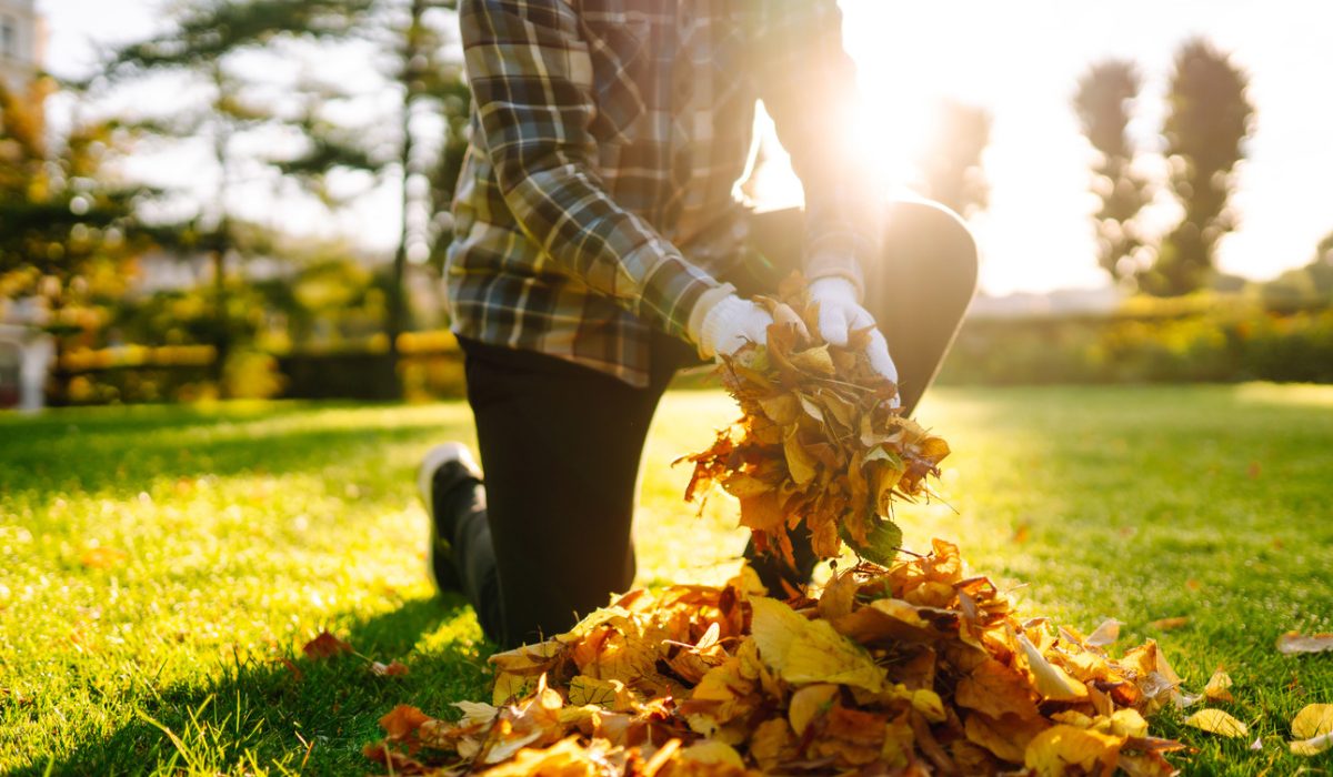 Fall Lawn Care in New Jersey