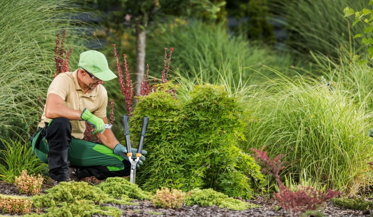 How to Choose the Right Mulch for Your Garden Beds